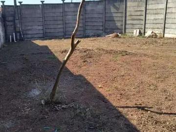 Terreno / Lote para Venda em Campinas/SP Jardim Planalto