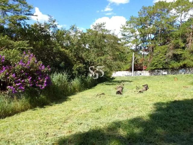 Terreno / Lote para Venda em Campinas/SP Jardim Proença