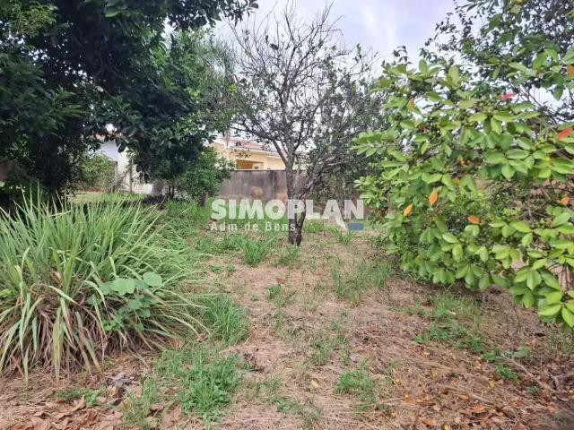 Terreno / Lote para Venda em Campinas/SP Jardim Santa Genebra