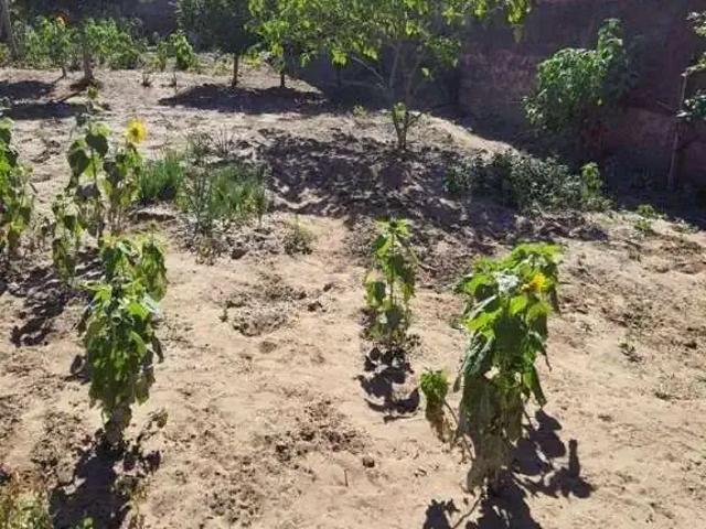 Terreno / Lote para Venda em Campinas/SP Jardim Santa Lúcia