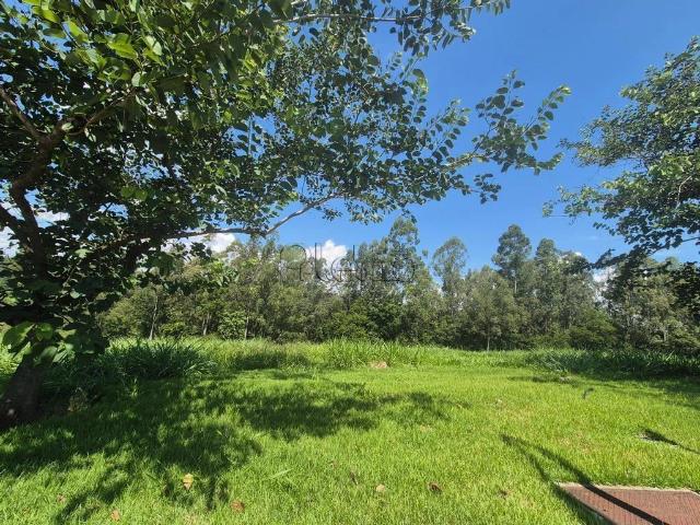 Terreno / Lote para Venda em Campinas/SP Loteamento Residencial Entre Verdes Sousas