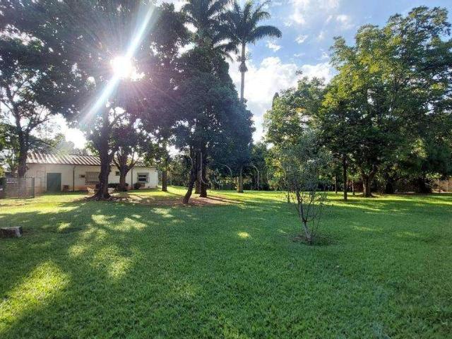 Terreno / Lote para Venda em Campinas/SP Parque Taquaral