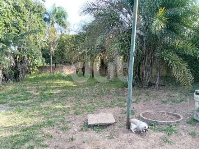 Terreno / Lote para Venda em Campinas/SP Parque Universitário de Viracopos
