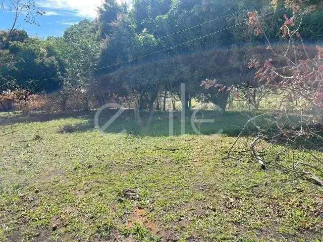Terreno / Lote para Venda em Campinas/SP Parque Aeroporto