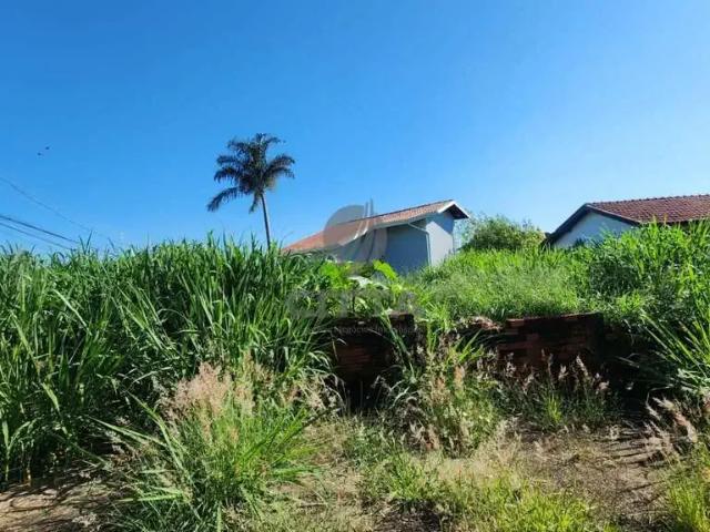 Terreno / Lote para Venda em Campinas/SP Parque Alto Taquaral