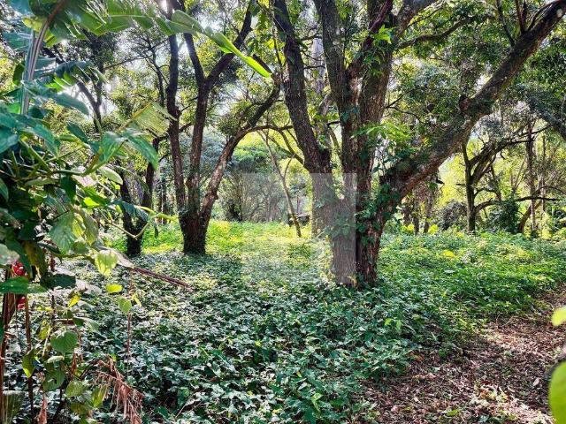 Terreno / Lote para Venda em Campinas/SP Parque Jatibaia Sousas