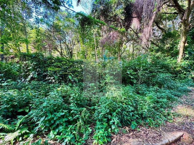 Terreno / Lote para Venda em Campinas/SP Parque Jatibaia Sousas