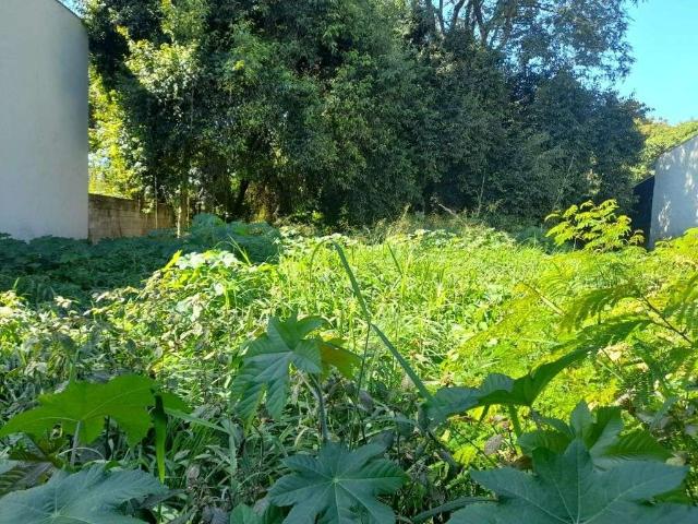 Terreno / Lote para Venda em Campinas/SP Residencial Cândido Ferreira Sousas