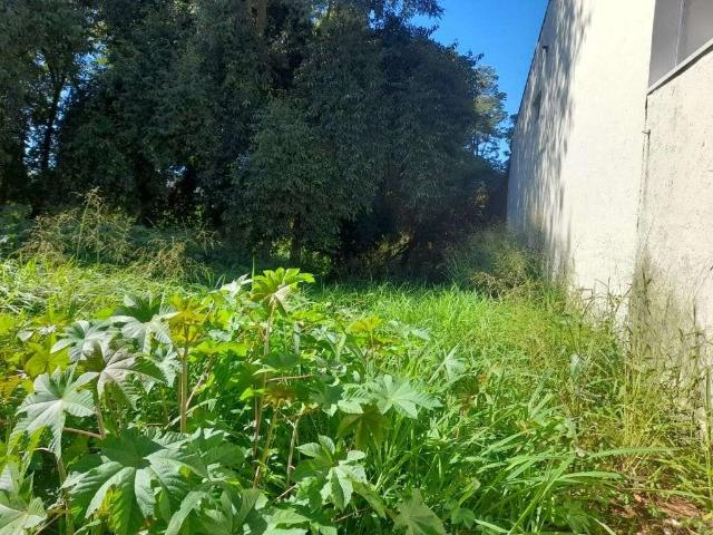 Terreno / Lote para Venda em Campinas/SP Residencial Cândido Ferreira Sousas