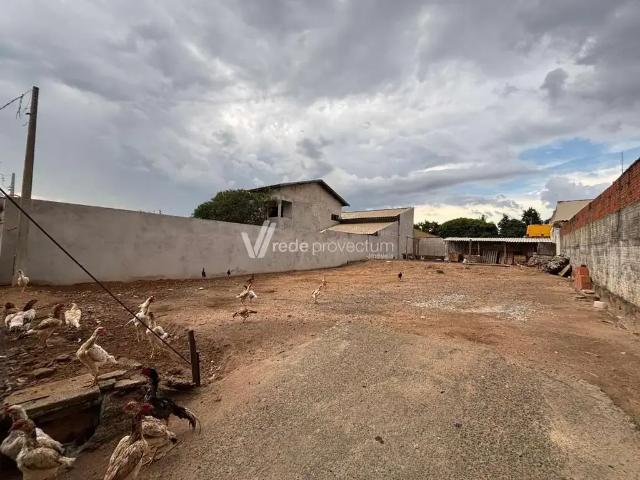 Terreno / Lote para Venda em Campinas/SP Vila Aeroporto