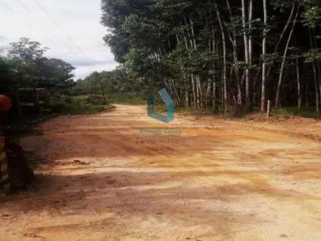 Terreno / Lote para Venda em Campinas/SP Vila Brandina