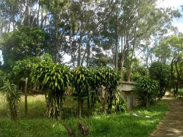 Terreno / Lote para Venda em Campinas/SP Vila Ipê
