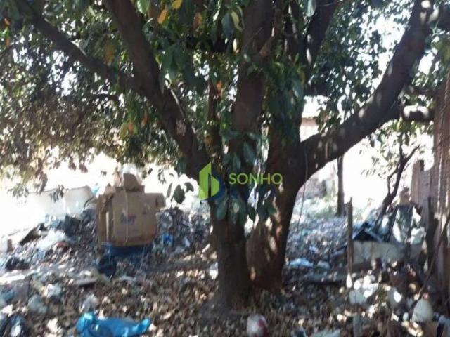 Terreno / Lote para Venda em Campinas/SP Vila Perseu Leite de Barros