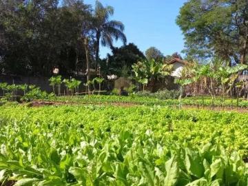 Terreno / Lote para Venda em Campinas/SP Village Campinas