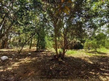 Terreno / Lote para Venda em Campinas/SP Village Campinas