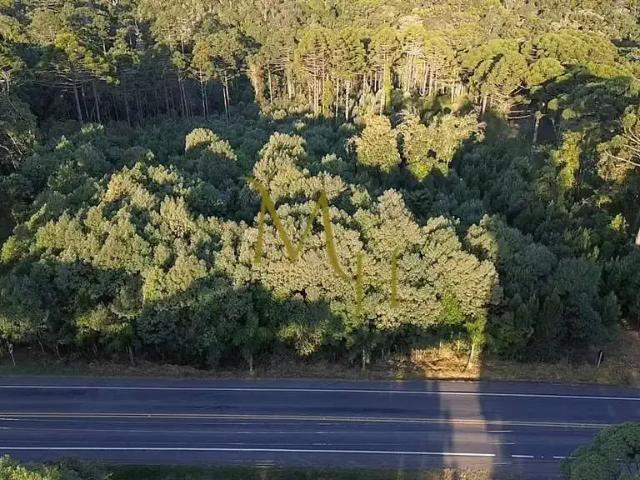 Terreno / Lote para Venda em Campo Alegre/SC Zona Rural