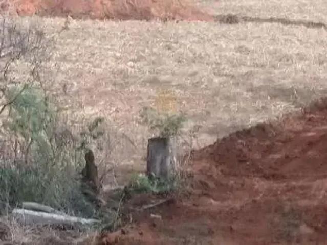 Terreno / Lote para Venda em Campo Alegre/SC Zona Rural
