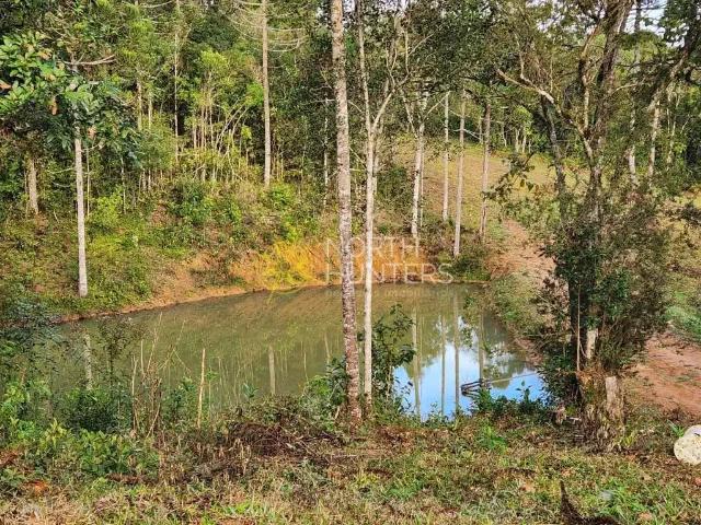 Terreno / Lote para Venda em Campo Alegre/SC Zona Rural