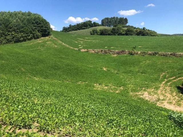 Terreno / Lote para Venda em Campo Alegre/SC Avenquinha