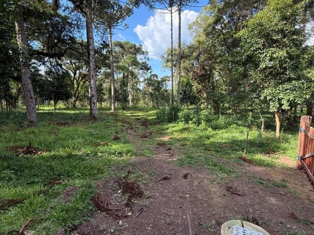 Terreno / Lote para Venda em Campo Alegre/SC Avenquinha