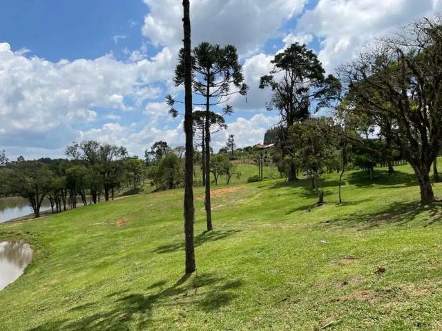 Terreno / Lote para Venda em Campo Alegre/SC Bateias de Baixo
