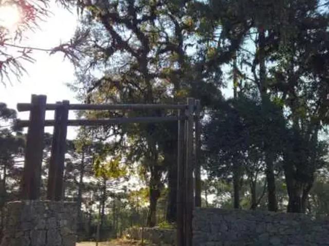 Terreno / Lote para Venda em Campo Alegre/SC Bateias de Baixo