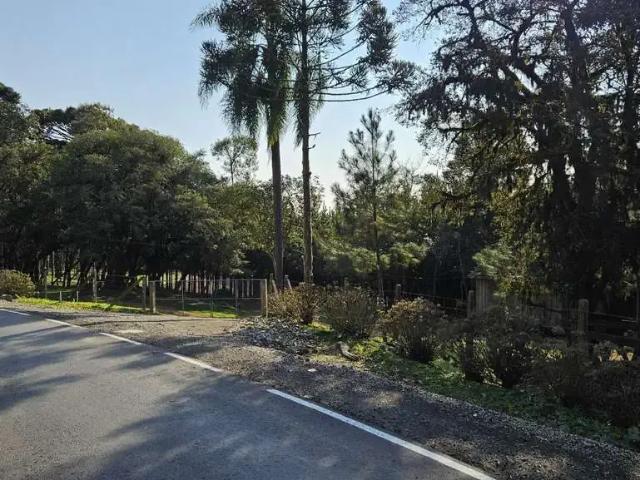 Terreno / Lote para Venda em Campo Alegre/SC Bateias de Baixo