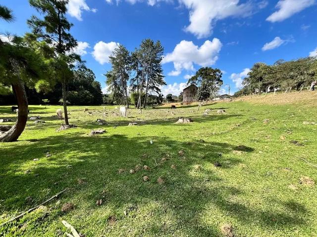 Terreno / Lote para Venda em Campo Alegre/SC Bateias de Cima