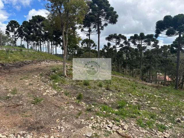 Terreno / Lote para Venda em Campo Alegre/SC Belo Horizonte