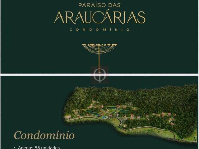 Terreno / Lote para Venda em Campo Alegre/SC Belo Horizonte