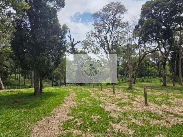 Terreno / Lote para Venda em Campo Alegre/SC Campestre
