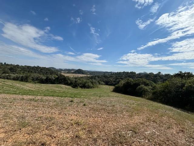 Terreno / Lote para Venda em Campo Alegre/SC Campinas