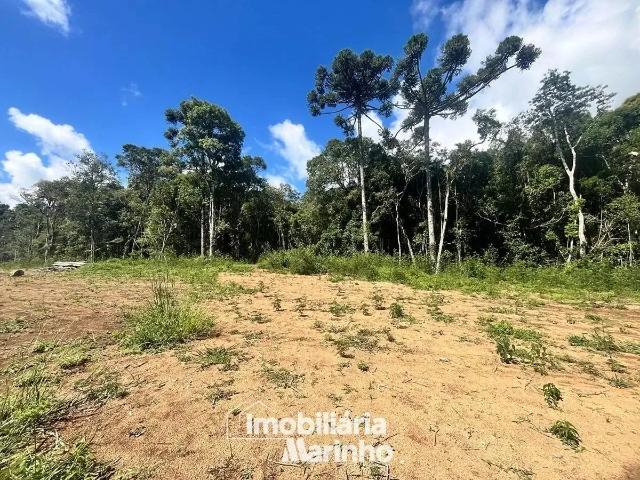 Terreno / Lote para Venda em Campo Alegre/SC Cascatas