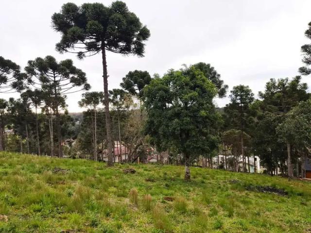Terreno / Lote para Venda em Campo Alegre/SC Cascatas