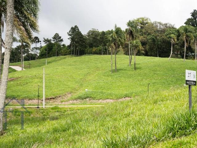 Terreno / Lote para Venda em Campo Alegre/SC Centro
