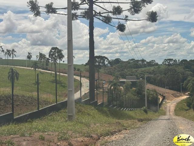 Terreno / Lote para Venda em Campo Alegre/SC Centro