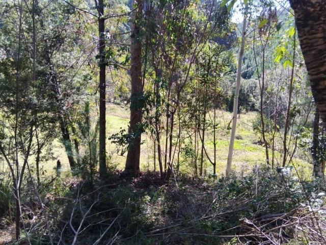 Terreno / Lote para Venda em Campo Alegre/SC Centro