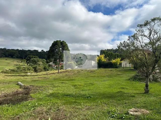 Terreno / Lote para Venda em Campo Alegre/SC Centro