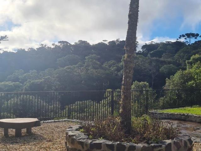 Terreno / Lote para Venda em Campo Alegre/SC Centro