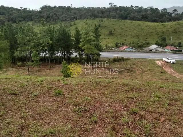 Terreno / Lote para Venda em Campo Alegre/SC Centro