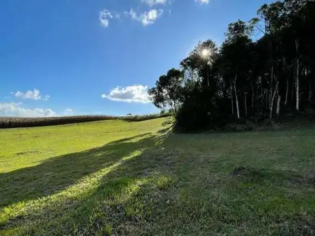 Terreno / Lote para Venda em Campo Alegre/SC Lageado