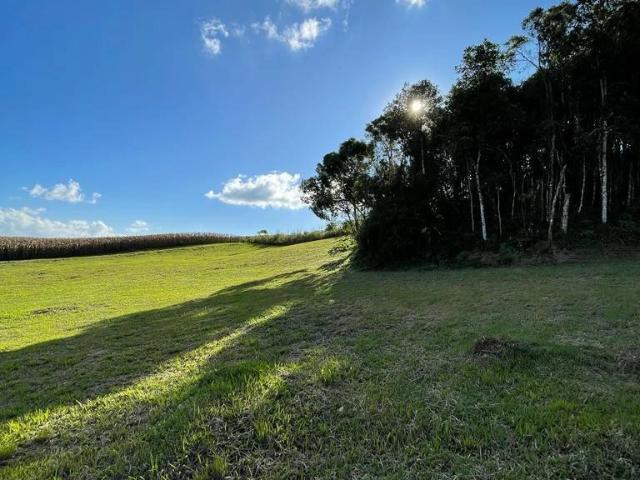 Terreno / Lote para Venda em Campo Alegre/SC Lageado