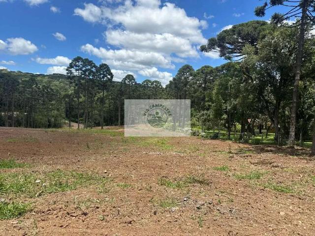 Terreno / Lote para Venda em Campo Alegre/SC Lageado