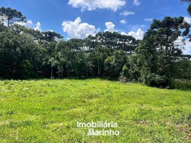 Terreno / Lote para Venda em Campo Alegre/SC Rio Vermelho