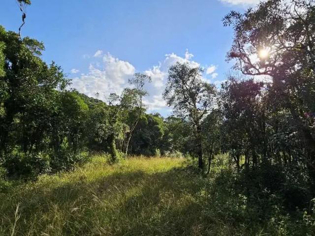 Terreno / Lote para Venda em Campo Alegre/SC São Miguel