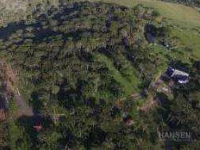 Terreno / Lote para Venda em Campo Alegre/SC São Miguel