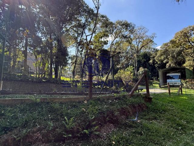 Terreno / Lote para Venda em Campo Alegre/SC Santo Antônio