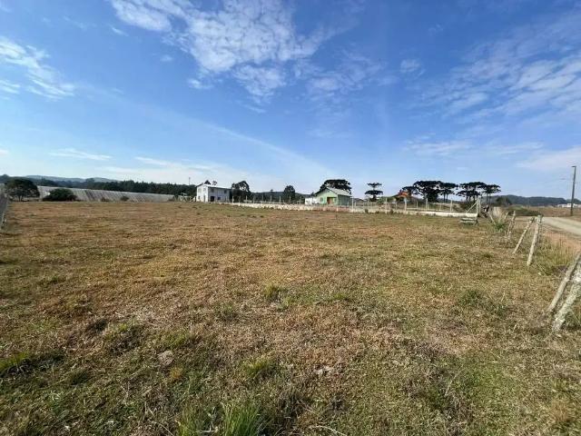 Terreno / Lote para Venda em Campo Alegre/SC Santo Antônio