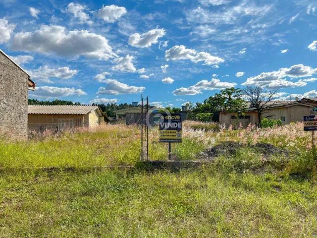 Terreno / Lote para Venda em Campo Bom/RS Paulista