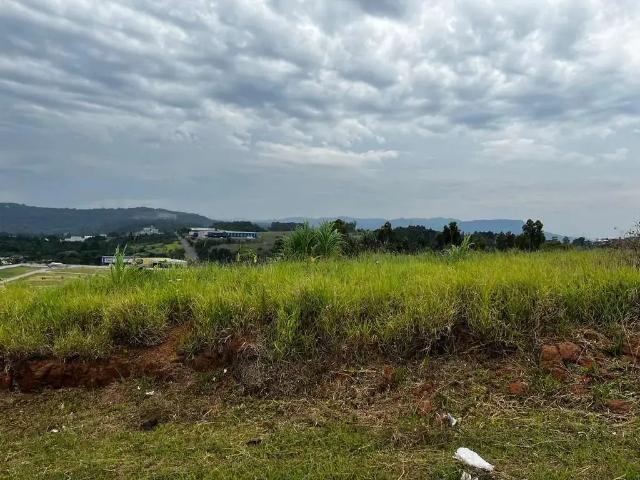Terreno / Lote para Venda em Campo Bom/RS Paulista